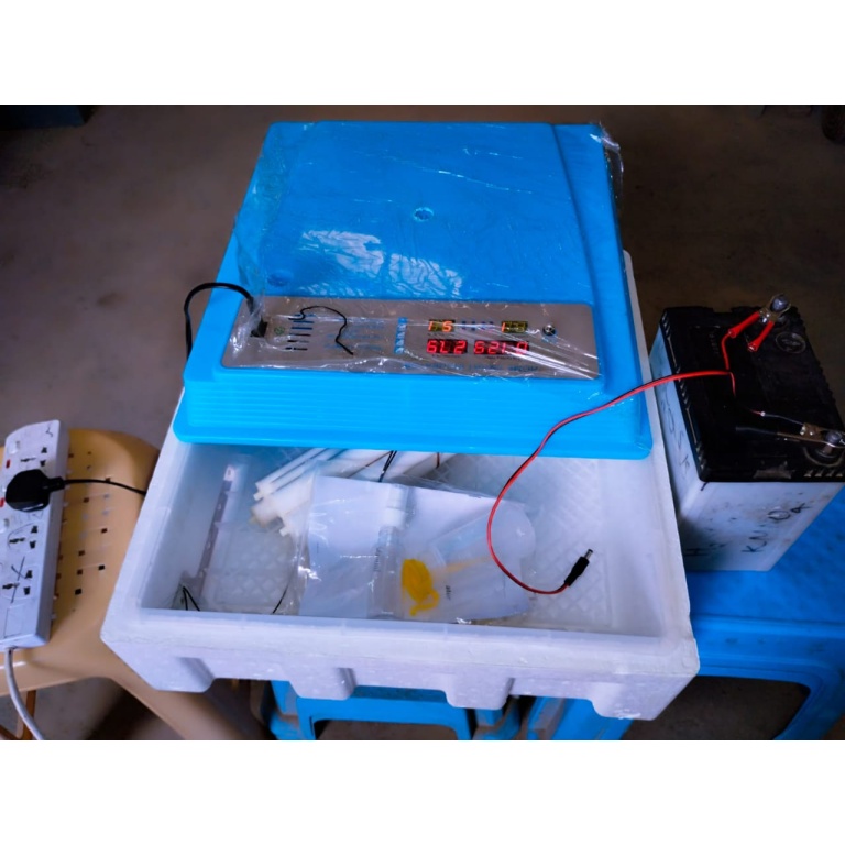 Automatic AC/DC 56 Eggs Incubator