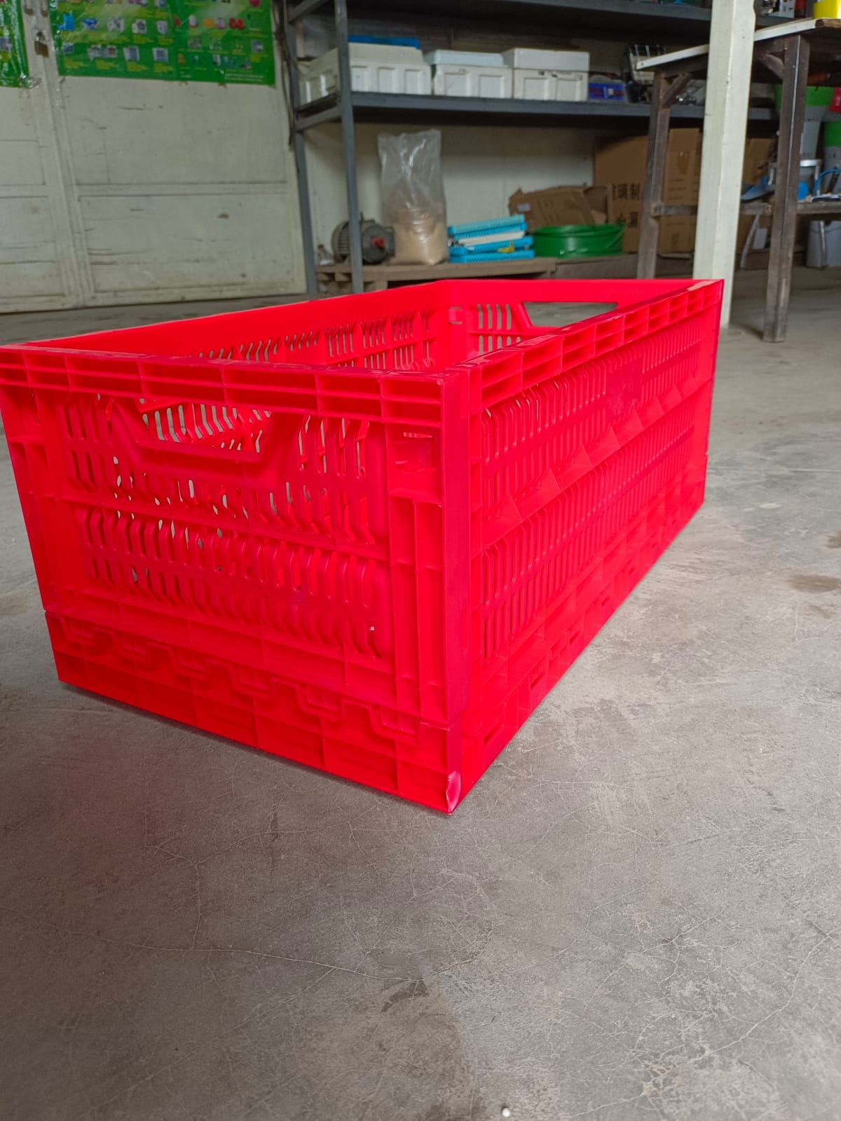 Eggs Transport Cage